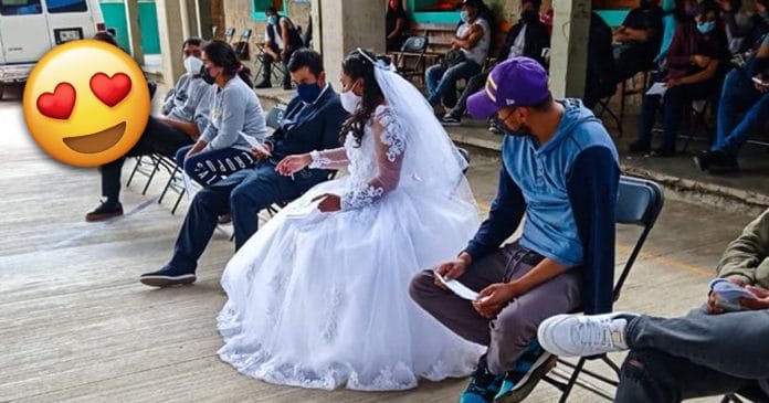 boda vacuna