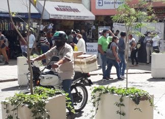 Reporte del Covid este 24 de marzo: semáforo en verde, cuatro nuevos casos y dos muertes