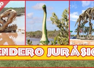 Afinan detalles para abrir las puertas del ‘Sendero Jurásico’ en la vía Chicxulub Puerto-Progreso