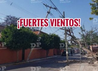 ¡Tome precauciones! Fuertes vientos por ‘surada’ afectan a Yucatán; también se espera calor intenso