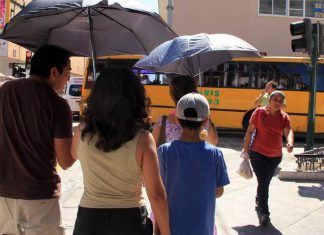 Pronostican hasta 42 grados la temperatura en Yucatán