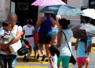 Pronóstico del clima: máximas de 36 grados, sin lluvias