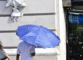Pronóstico del clima: máximas de 38 grados con algunas lluvias