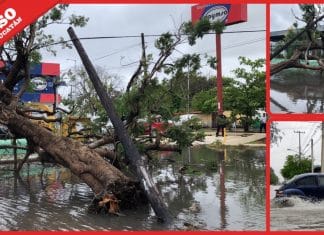 Tormenta deja calles inundadas y árboles caídos en Mérida