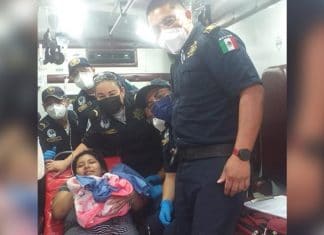 Mérida: Cigüeña no alcanza a llegar al Hospital Materno y ‘aterriza’ en un vehículo