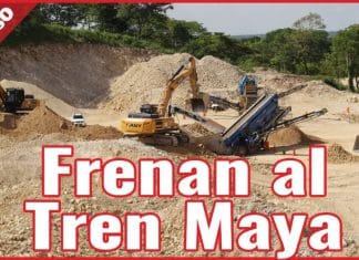 Suspenden autorización ambiental para el Tren Maya, por riesgo de deforestación y peligro de especies
