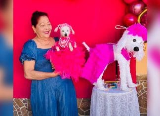 ¡Se armó la pachanga! Viralizan fiesta de XV años de una perrita