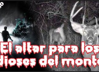 Enigmas: Gran cazador se topó con su peor pesadilla en montes yucatecos