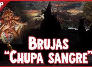Enigmas: impresionantes poderes tienen las brujas “chupasangre”