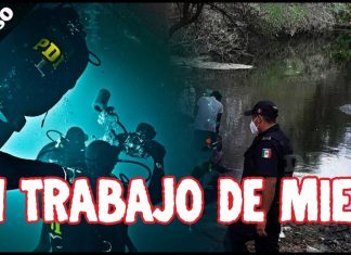 Enigmas: Cuenta buzo yucateco porqué su trabajo es “de miedo”