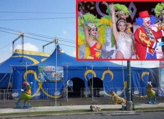 Regresan funciones del maravilloso “Forever Circus” a Mérida, con medidas anti Covid El aforo del “Forever Circus” del payasito Pope Pope, será del 45% por cuestiones de la pandemia.