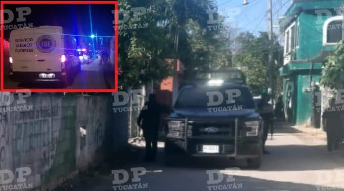 Al parecer el perrito sacó la pieza humana del cementerio municipal de Chemax, pero el caso se está investigando.