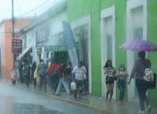 Pronóstico del clima: regresan las lluvias