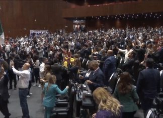 Rechazan Reforma Eléctrica por los diputados
