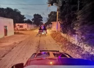 Perro ataca gravemente a niño de 4 años en Buctzotz Ahora la policía busca al dueño del pitbull que causó graves heridas a un niño en calles de Buctzotz.