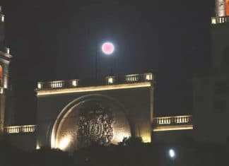 Alza la vista y disfruta de una hermosa luna rosa este fin de semana