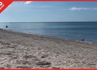 Alerta de fraudes en Yucatán por venta de terrenos ‘cerca’ de la playa; engañan a extranjeros