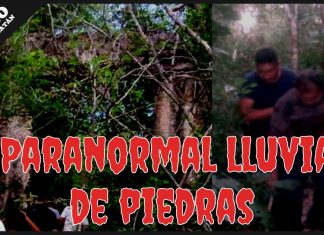 Enigmas: Espantosa experiencia en el monte de Tizimín