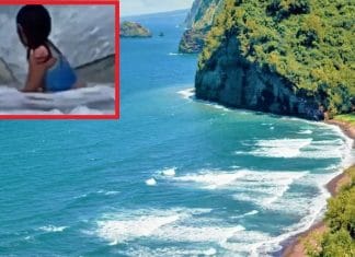 Mamá graba a su hija de 6 años en pleno ‘ataque’ de tiburón (video)
