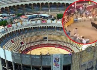 Toro pisotea a jinete hasta dejarlo en coma (VIDEO FUERTE)