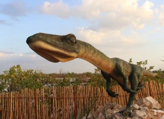 Anuncian costos para disfrutar del Parque Sendero Jurásico