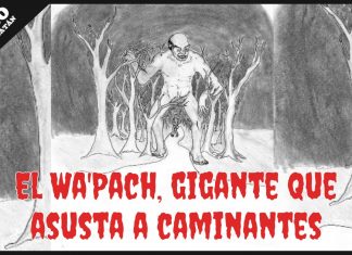 Enigmas: El Wa’Pach, gigante nocturno que asusta a caminantes (video)