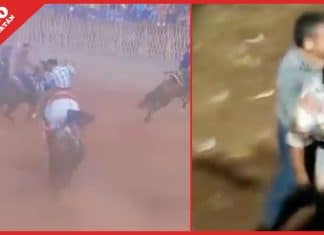 Corneado se queda «en chones», pero salva la vida en ruedo yucateco (video) Dentro de lo que cabe, el joven corneado corrió con suerte.