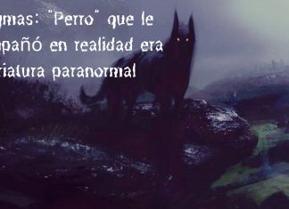 Enigmas: Quedó helado de miedo al descubrir que «perro» que le acompañó era otra cosa