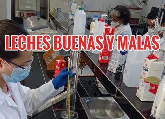 Aquí de decimos cuáles son las marcas que sí traen leche real