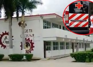 Atacan abejas africanizadas en colegio: tres hospitalizados