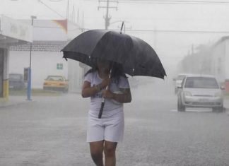 Pronóstico del clima: más lluvias, algunas fuertes