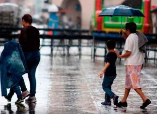 Pronóstico del clima: más lluvias, algunas podrían ser fuertes e incluír actividad eléctrica