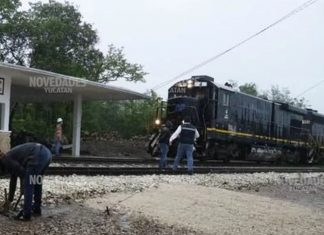 ¿Buscas trabajo? Andan reclutando a yucatecos para la obra del Tren Maya
