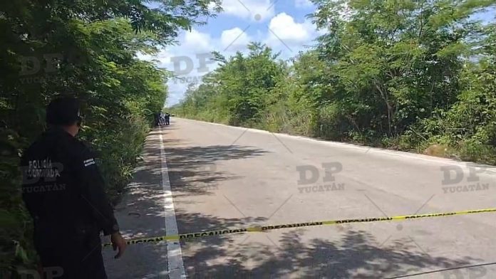 Los cadávere fueron hallados alrededor de las 11 horas de este sábado en el tramo Chan Chichimilá – Chikindzonot.