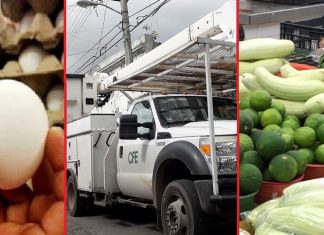 Gasolinas, luz eléctrica, carnes, frutas y verduras empujan inflación en Yucatán