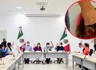 Aprueban diputados ley contra la «violencia vicaria», en Yucatán; ya casi es una realidad