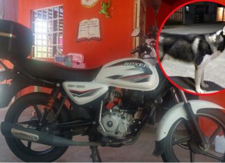 Ofrece su moto del año a quien le devuelva a su perro