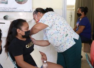 Coronavirus sigue con cifras elevadas en Yucatán. Hoy, 85 contagios