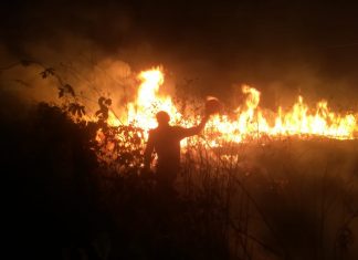 Temporada de incendios 2022 deja 1381 incidentes y ninguna víctima