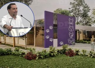 Anuncian construcción en Yucatán de primer hospital veterinario del sureste (video)
