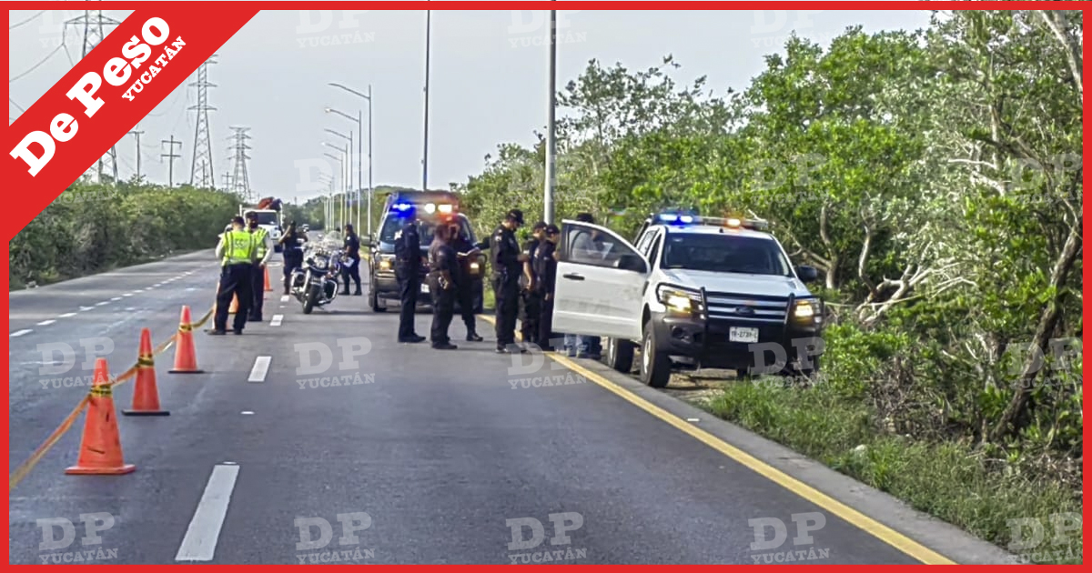 Hallan a una persona muerta en la ciénaga de Progreso