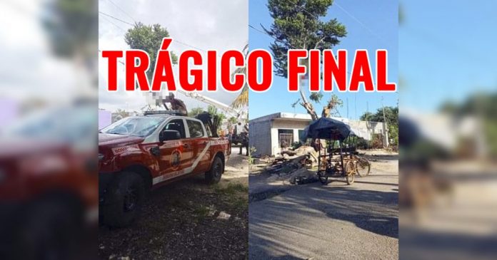 muerto Timucuy1