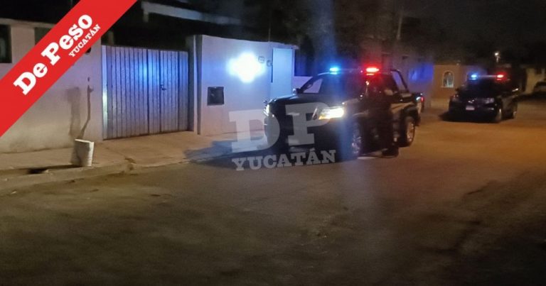 Reportan espeluznante hallazgo animal en el oriente de Mérida