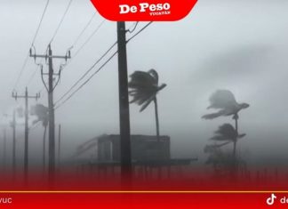 Recién llegado a Florida, huracán Milton deja sin electricidad a millones (VIDEO)