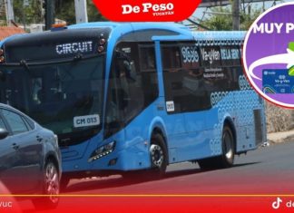 Estos son los 14 puntos para canjear tarjetas azules del ‘Va y Ven’ por las verdes