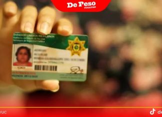 Entérate quienes podrían sacar su licencia de conducir gratis o con descuento