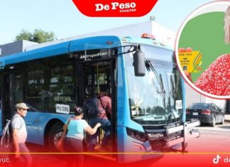 Dan más tiempo para realizar recargas a tarjetas ‘Va y Ven’ amarillas