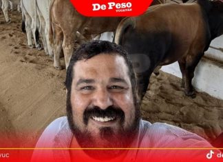 Ex diputado lleva más de un año sin pagar subasta ganadera en pro de niños con cáncer