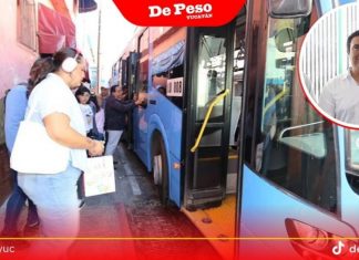 Renuncia el titular de la Agencia de Transporte de Yucatán