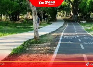 Anuncian nuevo megaparque en Valladolid